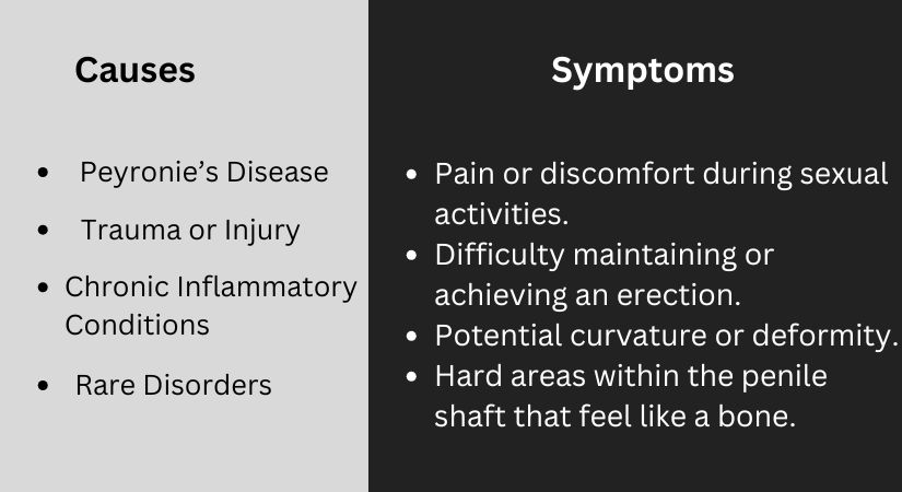 Penile Ossification, Causes, Symptoms